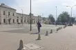 Drzewa są wycinane, ulice zalewane, a beton wylewany. 