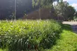 Środa ze zmienną pogodą. Będzie upalnie i burzowo