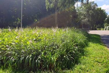 Środa ze zmienną pogodą. Będzie upalnie i burzowo