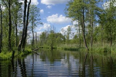 Wszedł do rzeki pod wpływem alkoholu. Trwają poszukiwania 21-latka