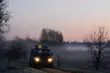 Zatrzymano ponad 50 obywateli Afganistanu i Iraku. Szli w nocy z Białorusi
