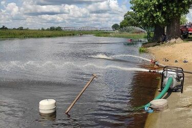 Przyducha w kolejnej rzece. W Narwi pojawiły się śnięte ryby