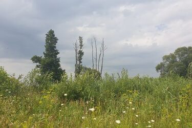 Ostatni poniedziałek lipca. Jaka będzie pogoda?