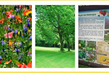 Spacery "7 twarzy Białegostoku"