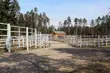 Wśród królów puszczy. W Supraślu powstaje wieża widokowa