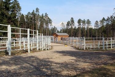 Wśród królów puszczy. W Supraślu powstaje wieża widokowa