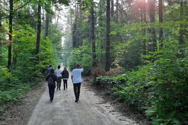 Chcesz odpocząć w naturze? Wybierz się do Sokola na Festiwal Sztuka w Naturze