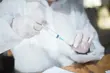 Szczepienia przeciw COVID-19 w parafiach i podczas jarmarku