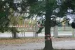 Podsumowanie lipca. Ile drzew w Białymstoku zostało wyciętych?