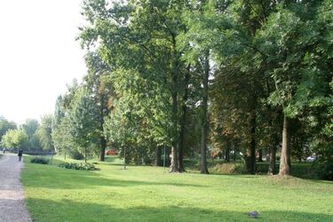 Pierwsza środa sierpnia. Ile stopni wskażą termometry?