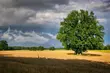 Wracają burze. IMGW ostrzega