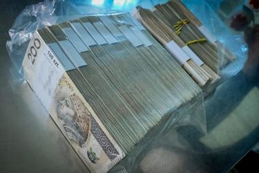 Służby zabrały przestępcom nieruchomości i udziały w spółkach