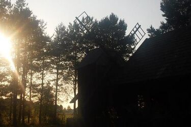 Meandry - Szkoła Muzyki Tradycyjnej 2021. Trwają zapisy