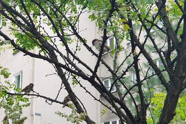 Prognoza na poniedziałek. Ile stopni wskażą termometry?