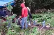 Kolejne duże grupy migrantów zatrzymane przez pograniczników