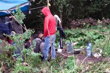 Kolejne duże grupy migrantów zatrzymane przez pograniczników