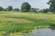 Trochę pochmurno, ale ciepło. W piątek temepratura sięgnie nawet 20°C