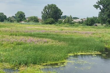 Trochę pochmurno, ale ciepło. W piątek temepratura sięgnie nawet 20°C