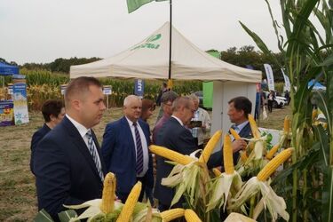Krajowy Dzień Kukurydzy w Szepietowie - już w ten weekend