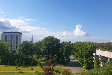 Półmetek tygodnia. W Białymstoku pogoda dopisze