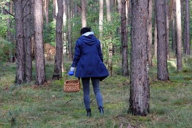 Grzybobranie może zakończyć się tragicznie. O czym warto pamiętać wybierając się do lasu?