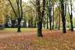Do końca roku pozostało równe 100 dni