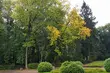 Słoneczny początek tygodnia. Ile będzie stopni?