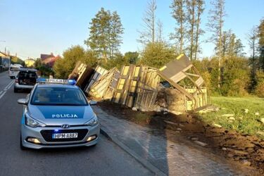 Ciężarówka przewożąca kurczaki wypadła z trasy i przewróciła się. Część ptaków uciekła