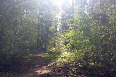 Przed nami kolejny ciepły i pogodny dzień