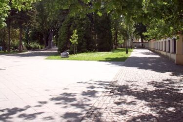 Przed nami kolejny dzień z korzystnym biometem