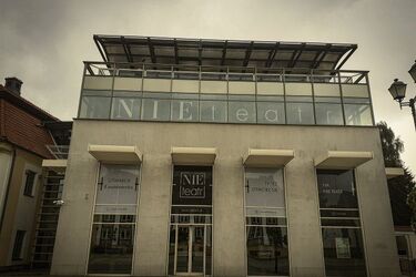 "Te okna to widziały", spektakl cieni o losach pewnej kamienicy