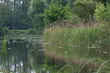 Politechnika Białostocka będzie współpracowała z parkami narodowymi. To spore wyzwanie