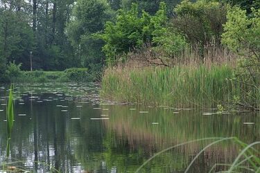 Politechnika Białostocka będzie współpracowała z parkami narodowymi. To spore wyzwanie