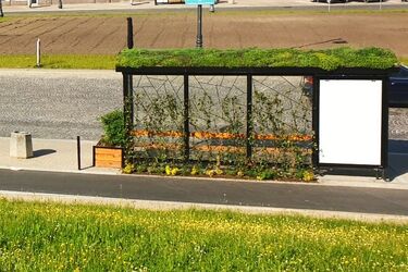 Będzie 8 kolejnych zielonych przystanków. Gdzie dokładnie?