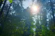 Końcówka tygodnia z dużą ilością słońca