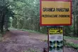 Straż Graniczna: strzały Białorusinów w kierunku polskich żołnierzy
