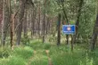 W weekend granicę polsko-białoruską próbowało przekroczyć ponad 1,2 tys. migrantów