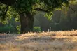 Nowy park krajobrazowy w województwie. Czy jest potrzebny? Oddaj swój głos