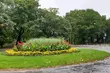 Jaki będzie weekend? Prognoza pogody dla Białegostoku