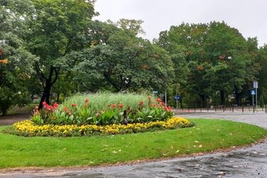 Jaki będzie weekend? Prognoza pogody dla Białegostoku