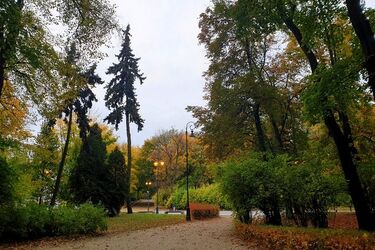 Szary początek tygodnia. Będzie pochmurno i deszczowo