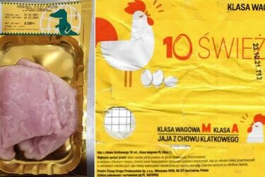 GIS wydał ostrzeżenie. Wykryto salmonellę w jajkach i stekach z krokodyla