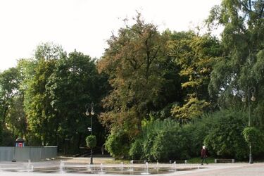 Jesienny dzień w Białymstoku. Będzie zimno, mokro i wietrznie