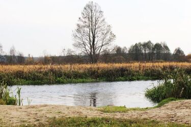Strefa workout, odnowiona plaża, motyli skwer. Wiemy, co powstanie w gminie Wasilków