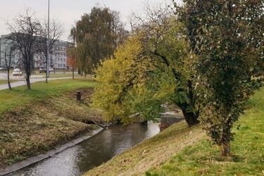 Promienny początek tygodnia. Ile stopni wskażą termometry?