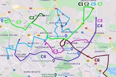 Wszystkich Świętych. Będą darmowe przejazdy BKM i specjalne linie na cmentarze [TRASY]