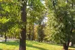 Kolejny pogodny dzień. Dominować będzie słoneczna aura