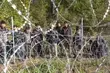 Umierający kontra złoto, dolary i terroryści. Białostoccy radni o sytuacji na granicy