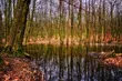 Wycieńczone małżeństwo utknęło na bagnach. Pomogli żołnierze i pogranicznicy