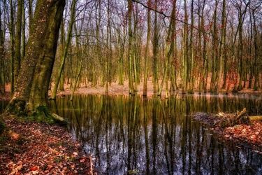 Wycieńczone małżeństwo utknęło na bagnach. Pomogli żołnierze i pogranicznicy